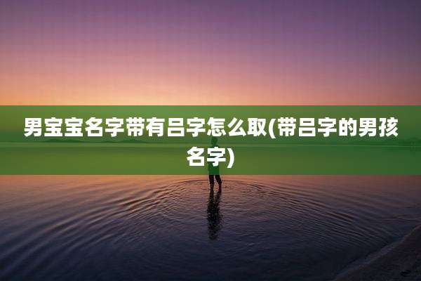 男宝宝名字带有吕字怎么取(带吕字的男孩名字)