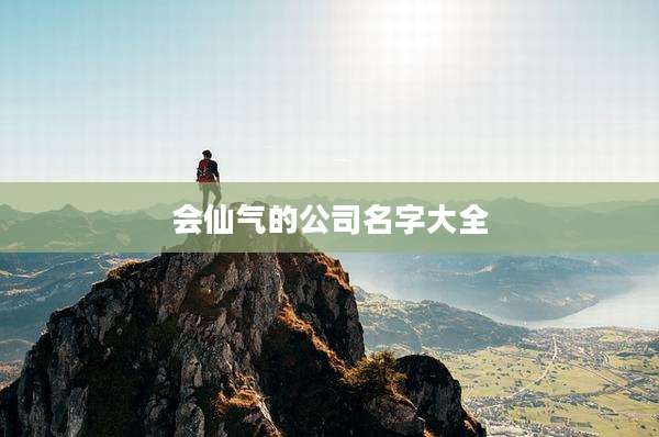 会仙气的公司名字大全