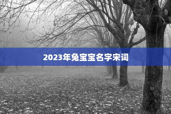 2023年兔宝宝名字宋词