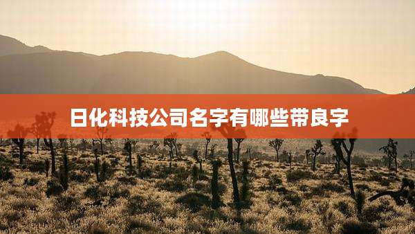 日化科技公司名字有哪些带良字