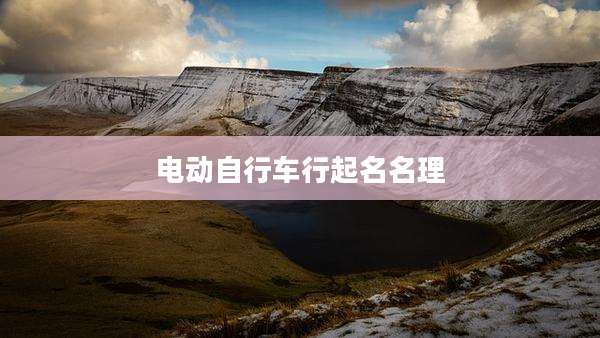 电动自行车行起名名理