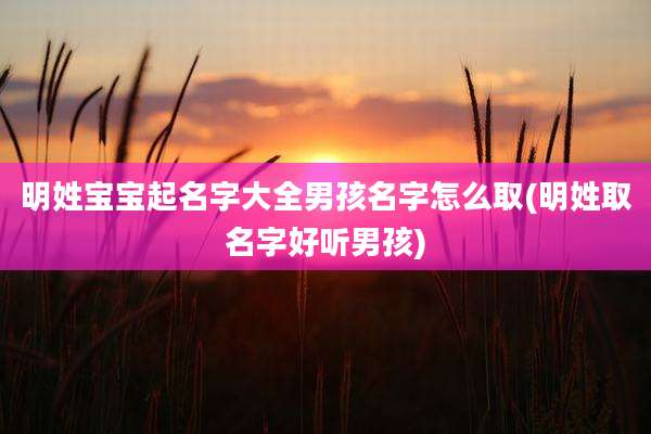 明姓宝宝起名字大全男孩名字怎么取(明姓取名字好听男孩)