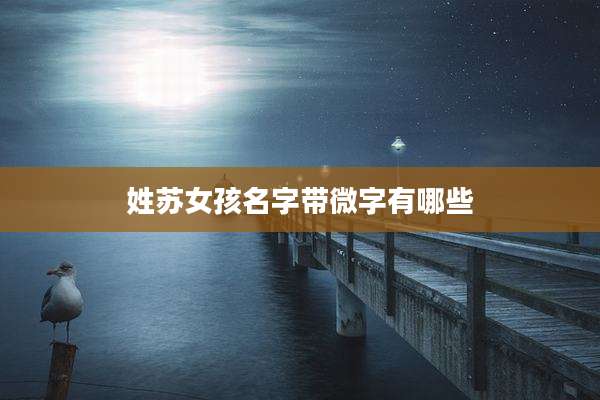 姓苏女孩名字带微字有哪些