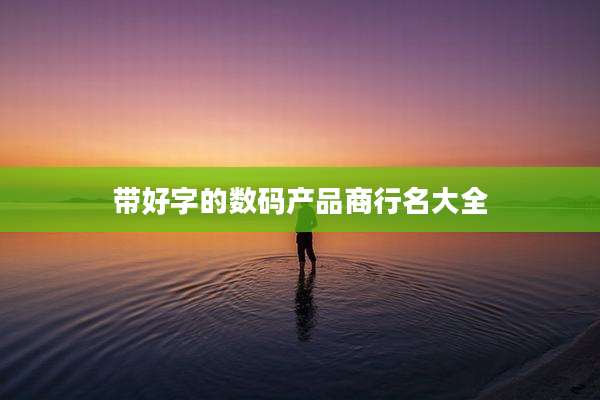 带好字的数码产品商行名大全