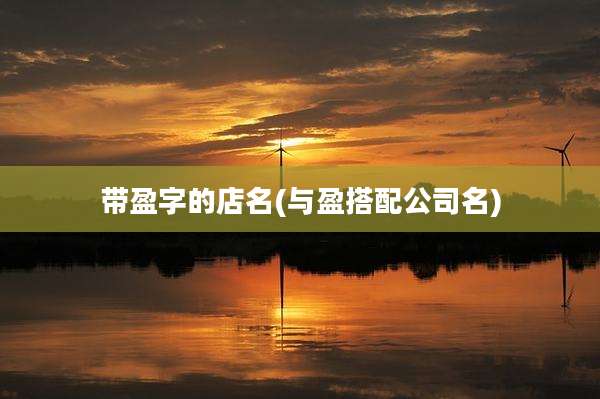 带盈字的店名(与盈搭配公司名)