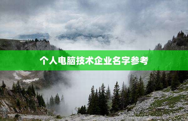 个人电脑技术企业名字参考