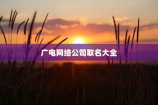 广电网络公司取名大全