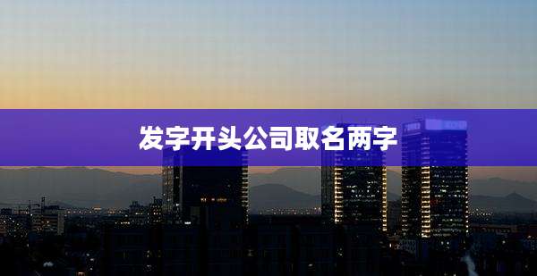 发字开头公司取名两字