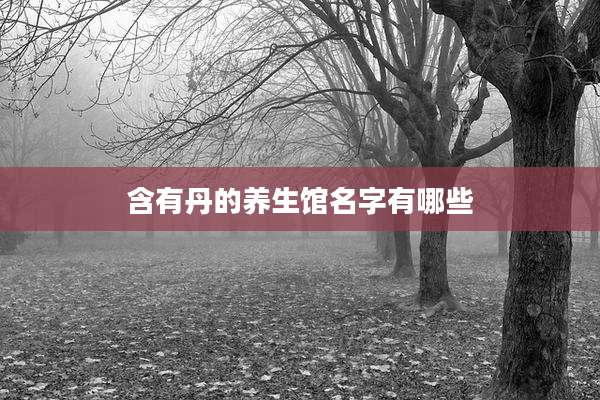 含有丹的养生馆名字有哪些