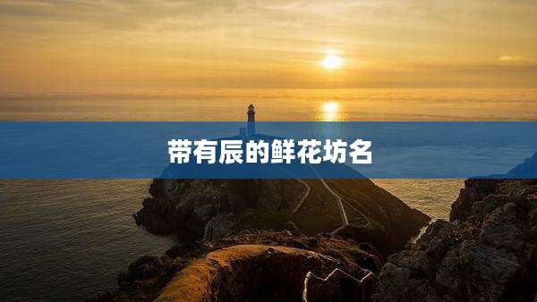 带有辰的鲜花坊名