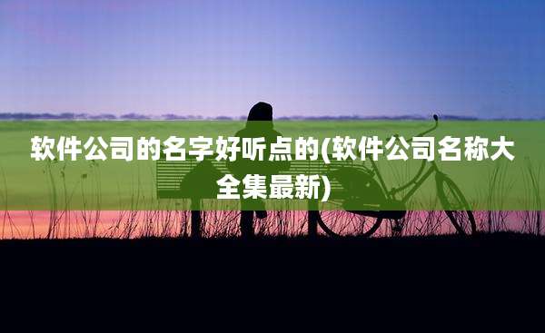 软件公司的名字好听点的(软件公司名称大全集最新)