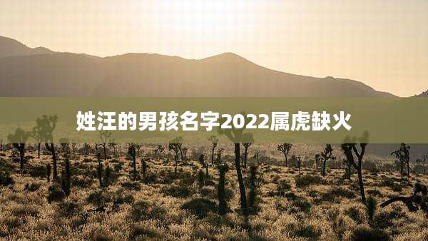 姓汪的男孩名字2022属虎缺火