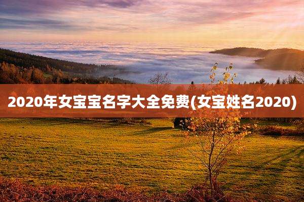 2020年女宝宝名字大全免费(女宝姓名2020)