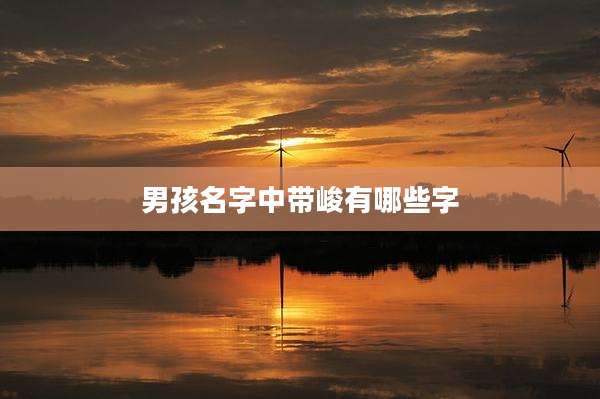 男孩名字中带峻有哪些字