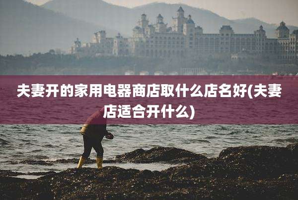 夫妻开的家用电器商店取什么店名好(夫妻店适合开什么)