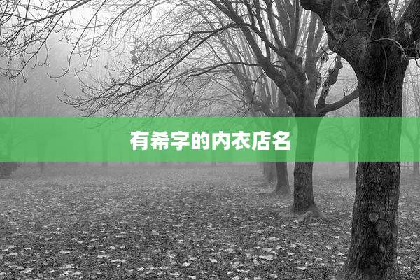 有希字的内衣店名