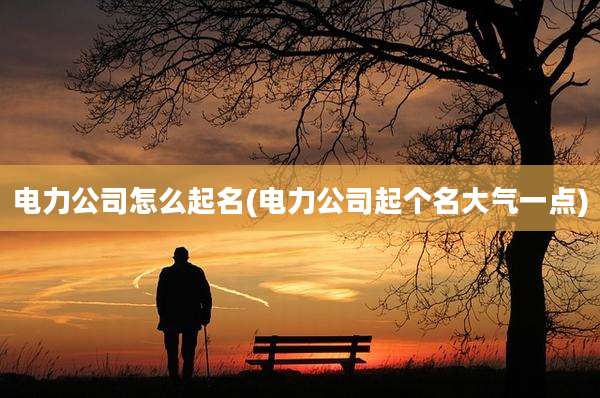 电力公司怎么起名(电力公司起个名大气一点)