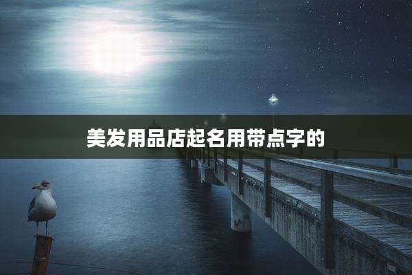美发用品店起名用带点字的