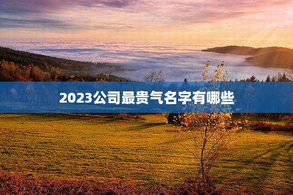 2023公司最贵气名字有哪些