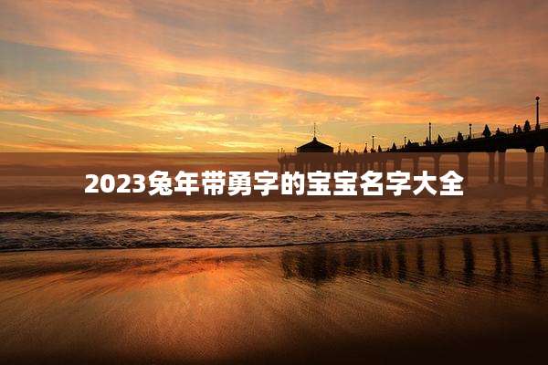 2023兔年带勇字的宝宝名字大全