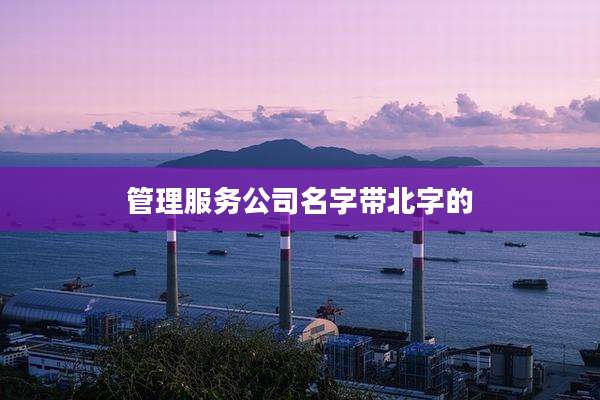 管理服务公司名字带北字的
