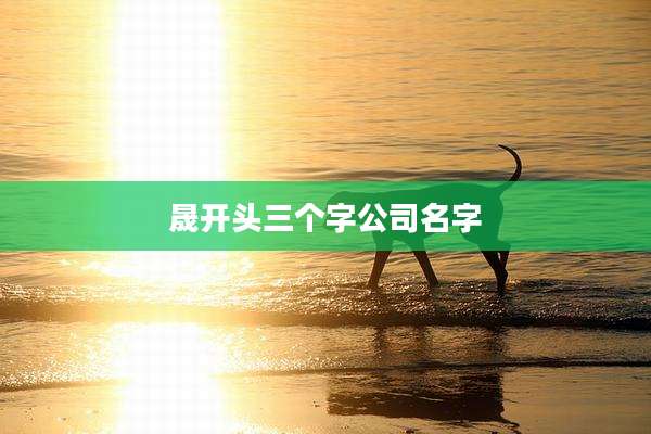 晟开头三个字公司名字