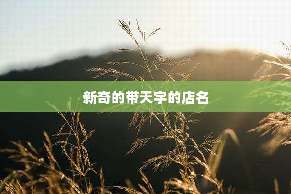新奇的带天字的店名