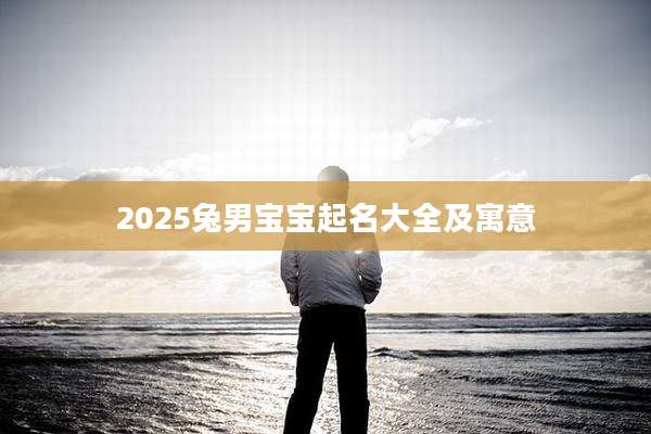 2025兔男宝宝起名大全及寓意