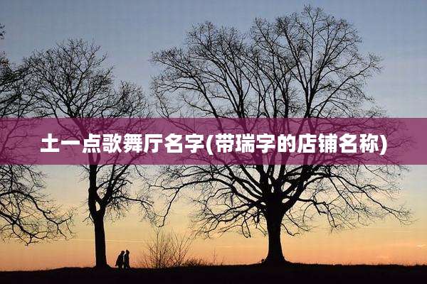 土一点歌舞厅名字(带瑞字的店铺名称)