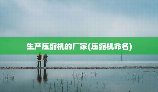 生产压缩机的厂家(压缩机命名)