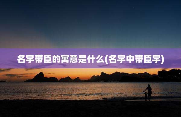名字带臣的寓意是什么(名字中带臣字)