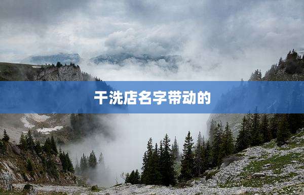 干洗店名字带动的