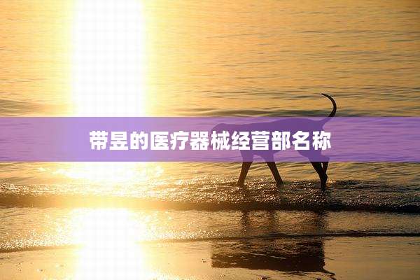 带昱的医疗器械经营部名称