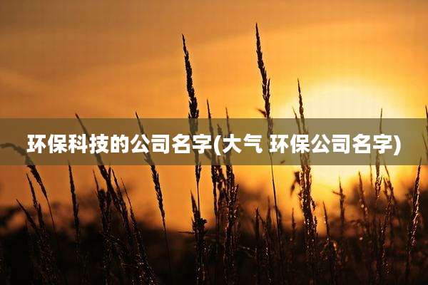 环保科技的公司名字(大气 环保公司名字)