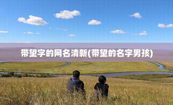 带望字的网名清新(带望的名字男孩)