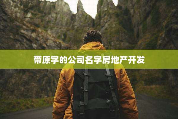带原字的公司名字房地产开发
