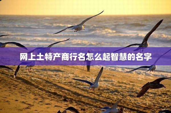 网上土特产商行名怎么起智慧的名字