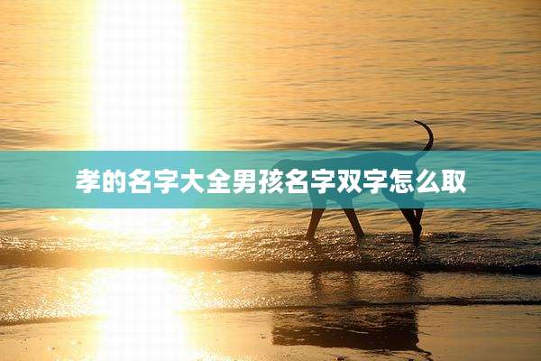 孝的名字大全男孩名字双字怎么取
