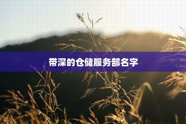 带深的仓储服务部名字