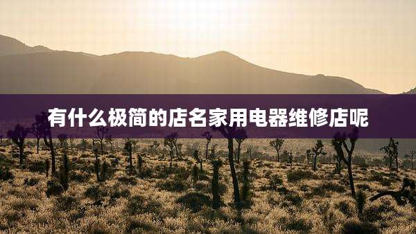 有什么极简的店名家用电器维修店呢