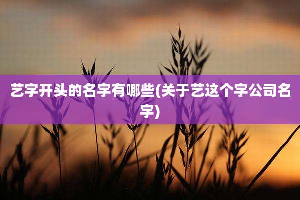 艺字开头的名字有哪些(关于艺这个字公司名字)