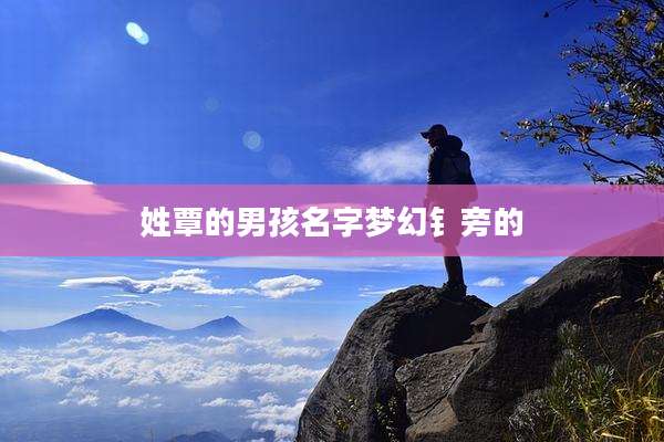 姓覃的男孩名字梦幻钅旁的
