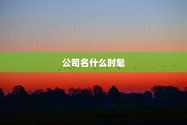 公司名什么时髦