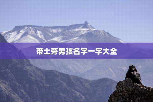 带土旁男孩名字一字大全