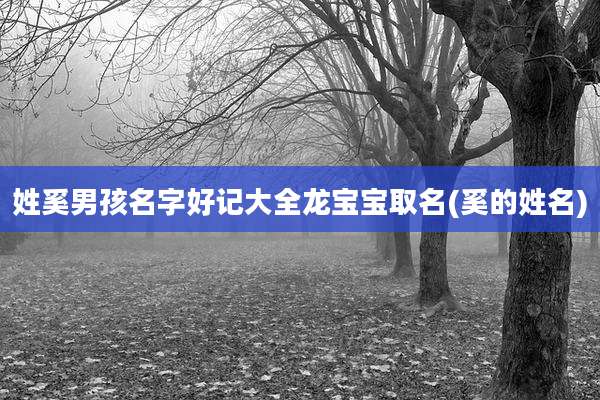 姓奚男孩名字好记大全龙宝宝取名(奚的姓名)