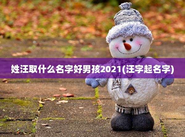姓汪取什么名字好男孩2021(汪字起名字)