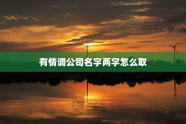 有情调公司名字两字怎么取