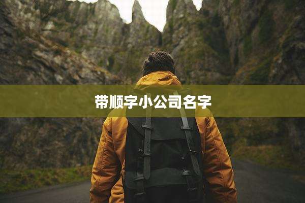 带顺字小公司名字