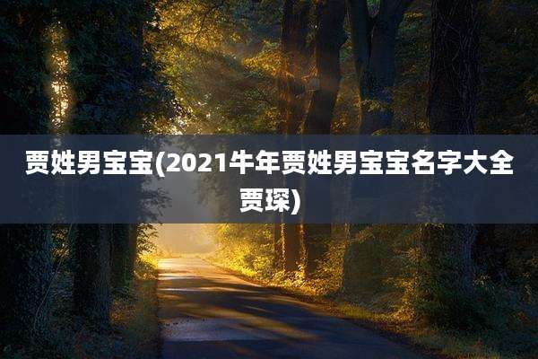 贾姓男宝宝(2021牛年贾姓男宝宝名字大全贾琛)