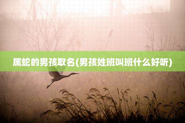 属蛇的男孩取名(男孩姓班叫班什么好听)